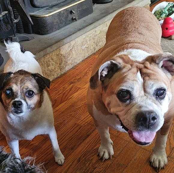 Meet your Posher, Candice - Picture 1 of 1